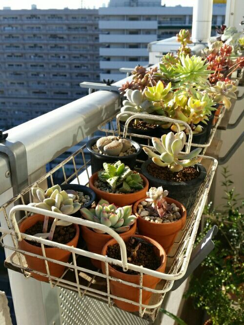 rblog-20170101153602-02.jpg
