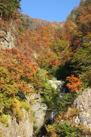 IMG_7961.jpg