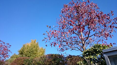 rblog-20141119080322-01.jpg
