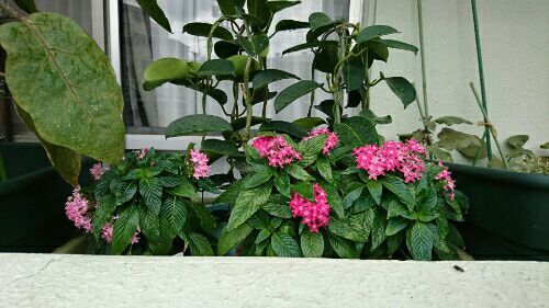 rblog-20170724105542-07.jpg
