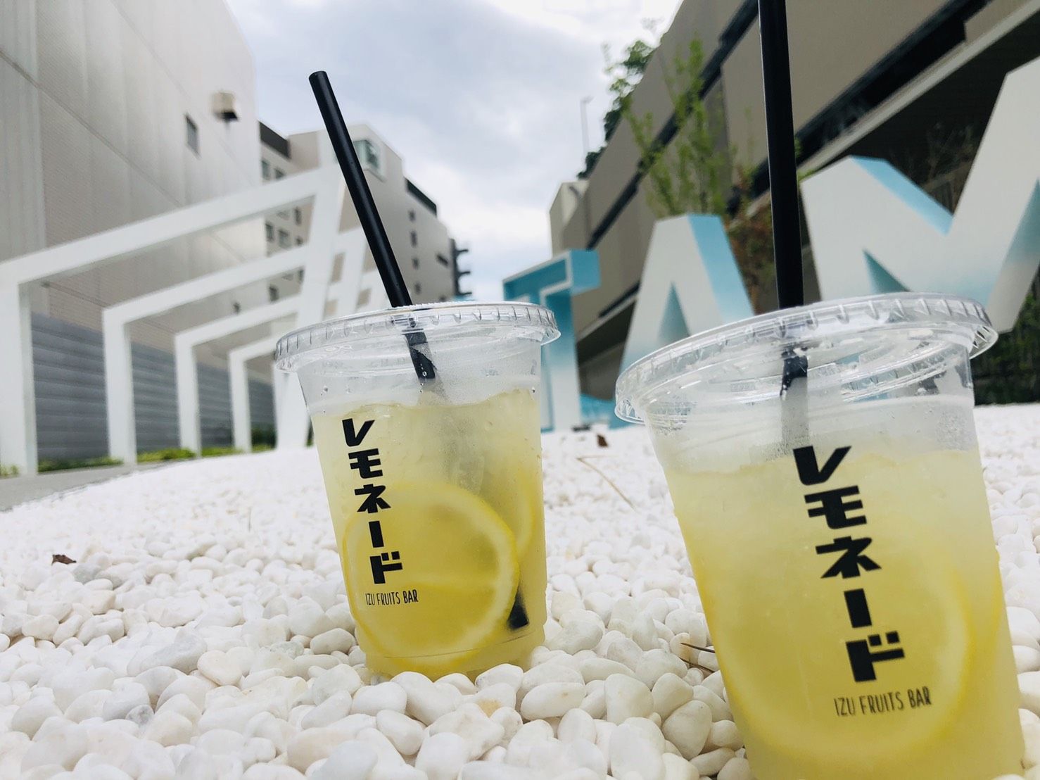 ひだりひらめのみぎかれい