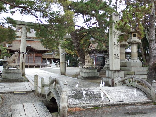 DSCF4398.JPG