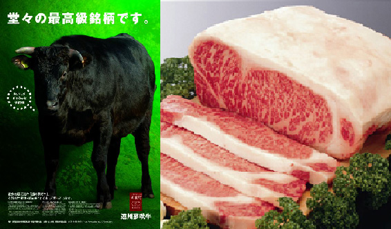 遠州夢咲牛3.JPG
