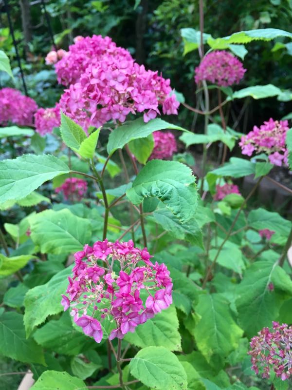 rblog-20160609235227-01.jpg