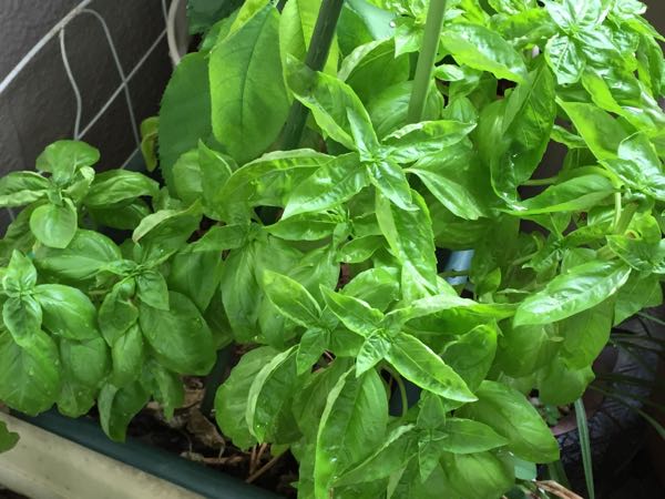 rblog-20180806094715-05.jpg