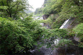佳松園160.jpg