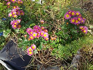 rblog-20141226103355-00.jpg