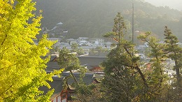 DSC06080千畳閣から神社をのぞむ.jpg