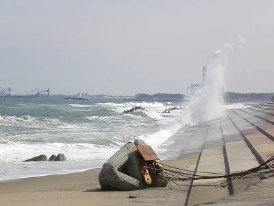 DSCN8217.jpg
