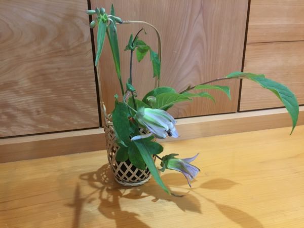 rblog-20170621092132-02.jpg