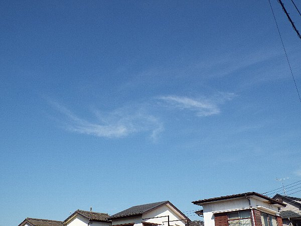 2016-02-18-kohakutyou-177-b.jpg