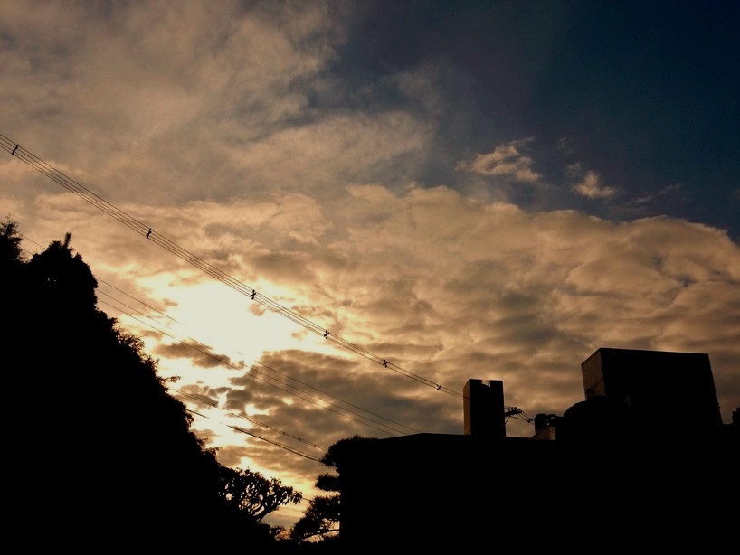 夕暮れ1.JPG