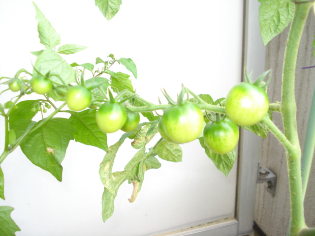 DSC00748.JPG