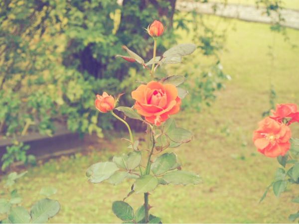 rblog-20161010142638-02.jpg