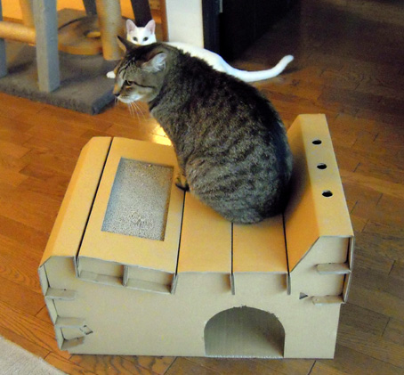 cat base
