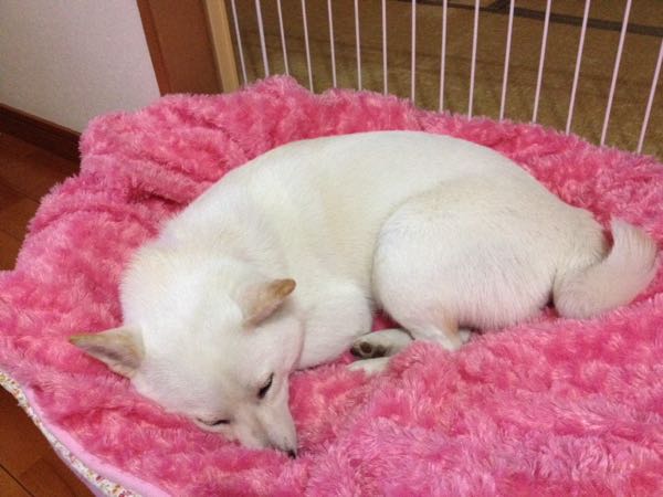 rblog-20150225220844-02.jpg