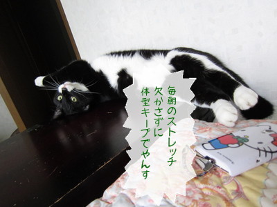 20120920110006_w_400_h_300_9655709.jpg