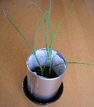 20120707-2.JPG