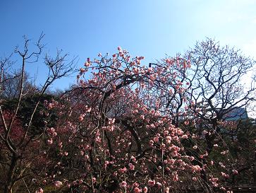 IMG_3228a.JPG