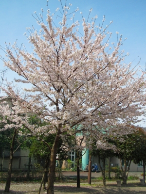 b3