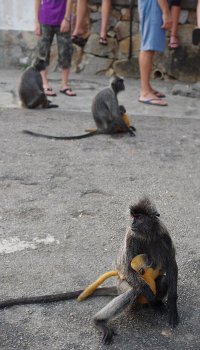 20120818_058.jpg