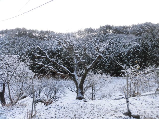 白銀の世界 幡谷自然農園 日記 楽天ブログ