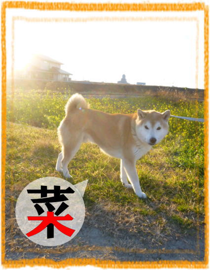 0112夕2.jpg