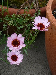 P1280986ss.jpg