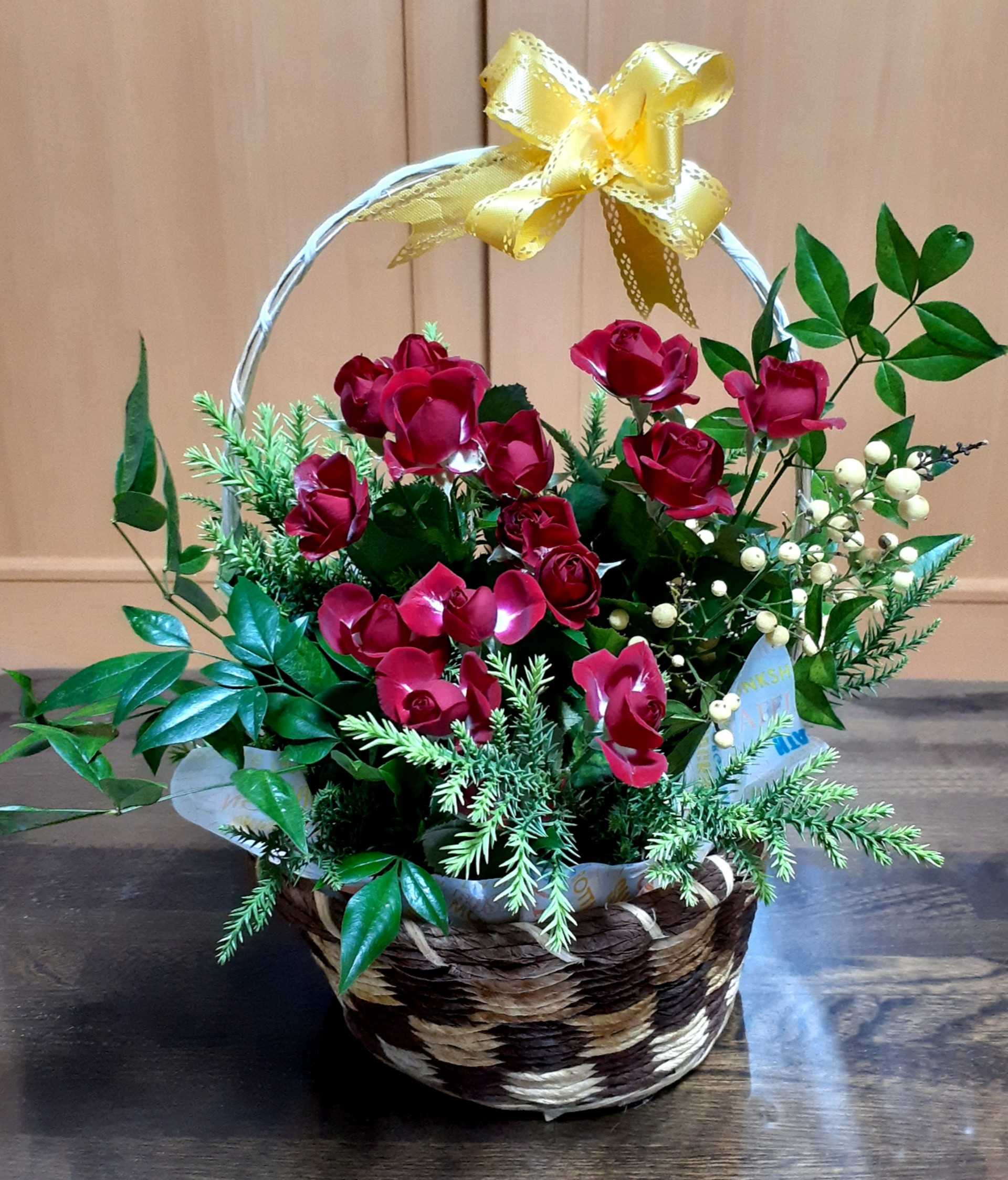 生け換え フィーラちょこっとページ 楽天ブログ