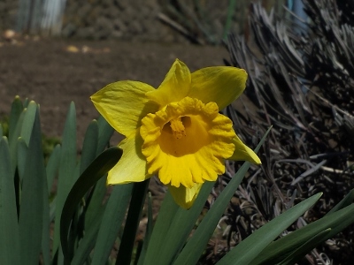 20160326_103925 (400x300) (2).jpg