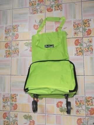 sP1300002.JPG