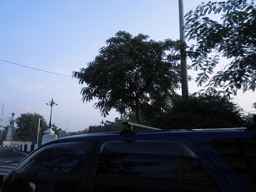 CIMG0451.JPG