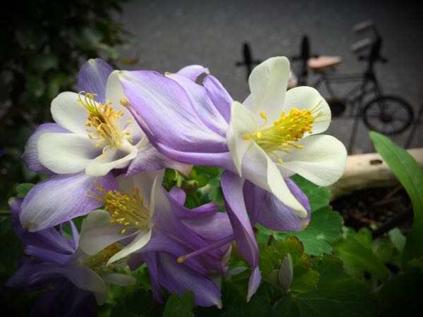 rblog-20160331165438-06.jpg