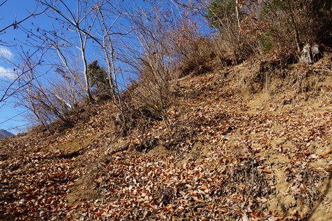 DSC08117.JPG
