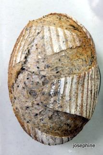 DSCF5376.JPG