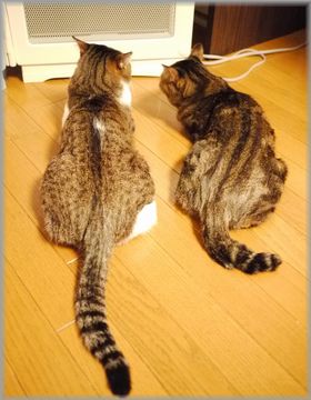 あったかいね～