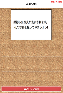 7 11 撮ったお花の名前が判る アプリ 他 Chao Chao 楽天ブログ
