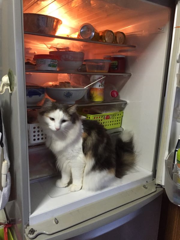 rblog-20150811092500-03.jpg