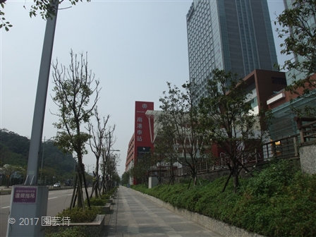 2017_03060234.jpg