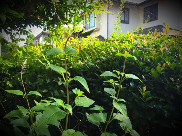 rblog-20160731173203-06.jpg