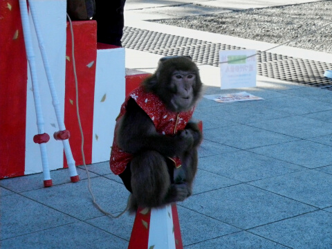 池上本門寺境内にて