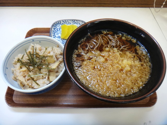 たぬき