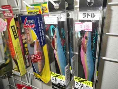 IMGP4621.JPG