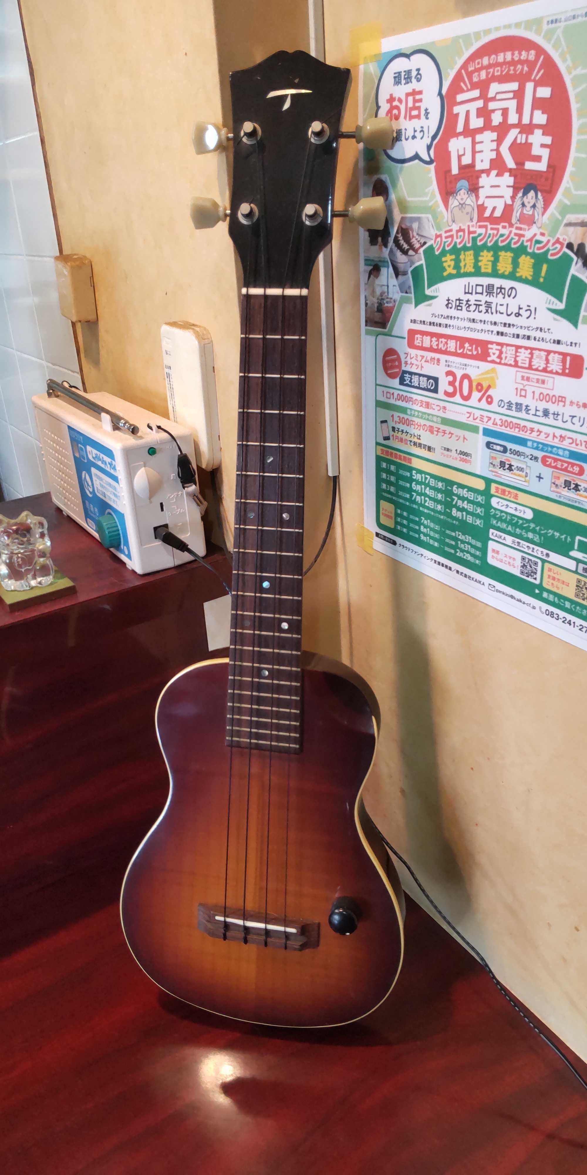ティーズウクレレ（お店の楽器紹介） | お気楽リタイア生活（音楽と 