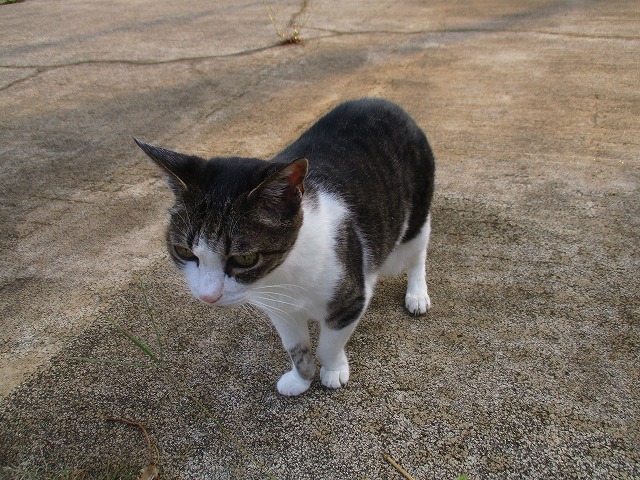 IMG_0126ss.jpg