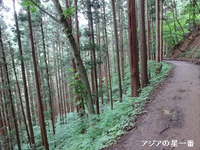 20160705 善光寺　野猿公苑14