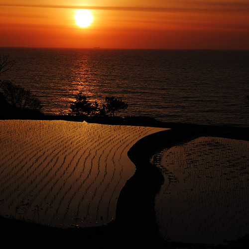 夕陽の白米千枚田