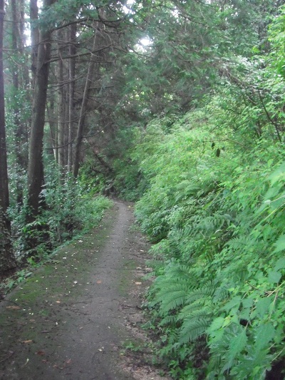 休山登山道近道