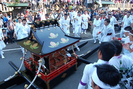 s-DSC_0560.jpg