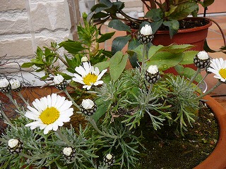 P1280259ss.jpg